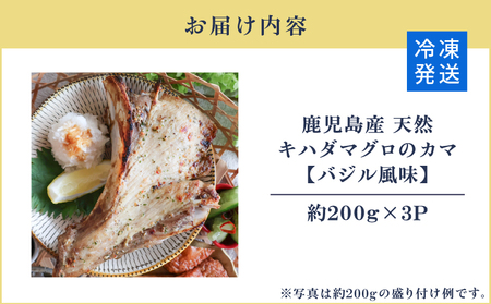 鹿児島産 天然 キハダマグロ の カマ 約200g × 3P 調理済 （ バジル風味 ） K100-012_01 魚 惣菜 総菜 冷凍