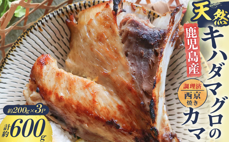 鹿児島産 天然 キハダマグロ の カマ 約200g × 3P 調理済 （ 西京焼き ） K100-012_02 魚 惣菜 総菜 冷凍