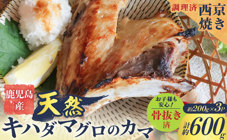 鹿児島産 天然 キハダマグロ の カマ 約200g × 3P 調理済 （ 西京焼き ） K100-012_02 魚 惣菜 総菜 冷凍