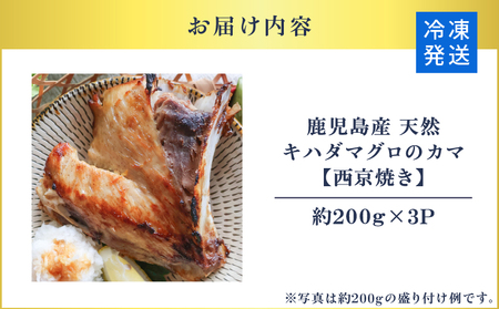 鹿児島産 天然 キハダマグロ の カマ 約200g × 3P 調理済 （ 西京焼き ） K100-012_02 魚 惣菜 総菜 冷凍