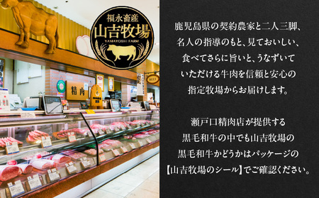 福永畜産 山吉牧場 鹿児島県産黒毛和牛 サーロインステーキ K326-005 鹿児島県産 黒毛和牛 計 600g 肉 牛 牛肉 ビーフ サーロイン ステーキ サシ 霜降り 焼肉 とろける 美味しい 贅沢 デパート 冷凍 国産 瀬戸口精肉店 ふるさと納税 山形屋 鹿児島 鹿児島市 おすすめ ランキング プレゼント ギフト