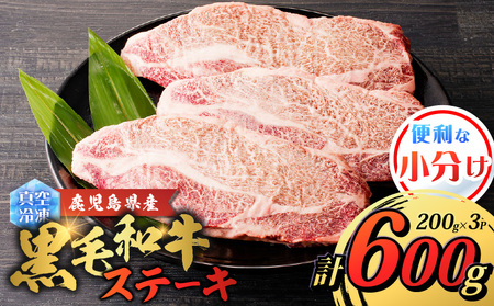 鹿児島県産 黒毛和牛ステーキ 600g K151-010_01 肉 牛肉 冷凍