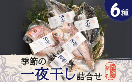 季節の 一夜干し 詰合せ （6種） K294-001 干物 魚 魚介 加工食品 加工品 熟成 熟成乾燥 酵素 旨味 濃縮 黒酒 灰持酒 鮮魚 新鮮 旬 おかず ごはん 炭火 七輪 真空包装 真空 冷凍 サカナカケル ふるさと納税 鹿児島 おすすめ ランキング プレゼント ギフト