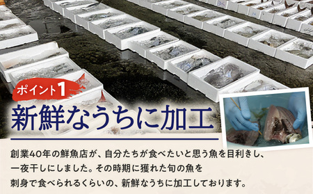 季節の 一夜干し 詰合せ （6種） K294-001 干物 魚 魚介 加工食品 加工品 熟成 熟成乾燥 酵素 旨味 濃縮 黒酒 灰持酒 鮮魚 新鮮 旬 おかず ごはん 炭火 七輪 真空包装 真空 冷凍 サカナカケル ふるさと納税 鹿児島 おすすめ ランキング プレゼント ギフト