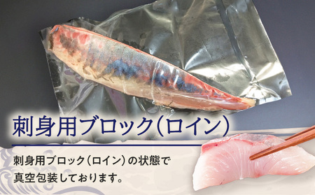 鹿児島県産 カンパチ 約3.5kg 刺身用 ブロック（ ロイン ） 活〆 ※ 真空包装 K294-003_03 魚 魚介 新鮮 かんぱち ブロック 歯ごたえ 刺身 さしみ カルパッチョ しゃぶしゃぶ 焼き物 煮物 サカナカケル ふるさと納税 鹿児島 おすすめ ランキング プレゼント ギフト