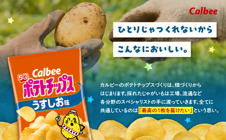 カルビー ポテトチップス【うすしお】16袋 K194-002_03 菓子