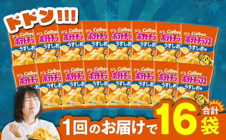 カルビー ポテトチップス【うすしお】16袋 K194-002_03 菓子