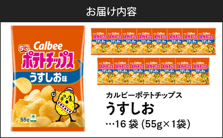 カルビー ポテトチップス【うすしお】16袋 K194-002_03 菓子