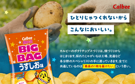 カルビー ポテトチップス BIGBAG【うすしお】12袋 K194-002_04 菓子