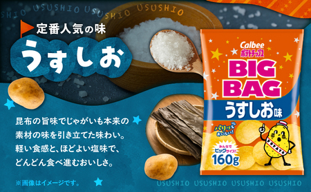 カルビー ポテトチップス BIGBAG【うすしお】12袋 K194-002_04 菓子