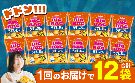 カルビー ポテトチップス BIGBAG【うすしお】12袋 K194-002_04 菓子