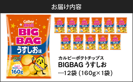 カルビー ポテトチップス BIGBAG【うすしお】12袋 K194-002_04 菓子