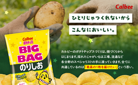 カルビー ポテトチップス BIGBAG【のりしお】12袋 K194-002_08 菓子