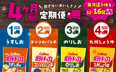 【4ヶ月定期便】カルビー ポテトチップス 食べ比べ4種【うすしお、コンソメパンチ、のりしお、九州しょうゆ】 K194-T01 菓子