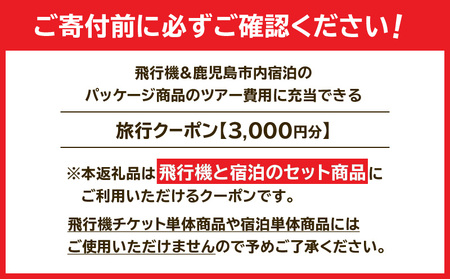 鹿児島市 に 泊まる ふるさと納税旅行クーポン【 3,000円分 】 K349-001_03
