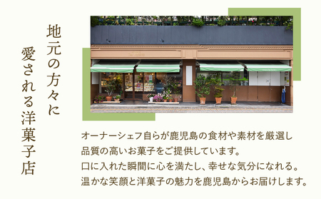 【5営業日以内に発送】 焼ドーナツ 10個入り K300-006_02 ドーナツ 菓子 お菓子 スイーツ 焼菓子 バニラ チョコ 抹茶 キャラメル コーヒー 詰合せ セット おやつ パティスリーティー・タビラ ふるさと納税 鹿児島市 おすすめ ランキング プレゼント ギフト スピード配送 スピード発送 最短 すぐ届く お急ぎ 最短5営業日