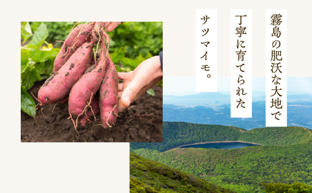 ノンフライ 芋 チップス K300-009