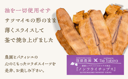 ノンフライ 芋 チップス K300-009
