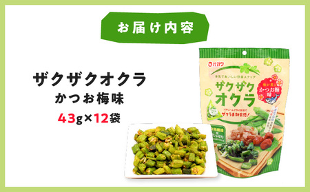 お野菜です。 あなたはどのおもしろ野菜を試してみたい？