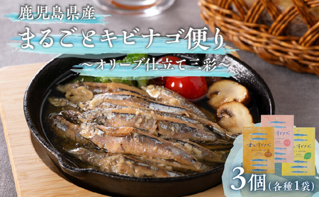 まるごと キビナゴ 便り ～ オリーブ 仕立て 三彩 ～ 3個 セット K032-003_01 プレーン ガーリック レモン おつまみ パスタ サラダ トッピング 魚 さかな 魚介 小魚 丸八 ふるさと納税 おすすめ ランキング プレゼント ギフト