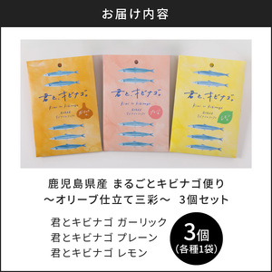 まるごと キビナゴ 便り ～ オリーブ 仕立て 三彩 ～ 3個 セット K032-003_01 プレーン ガーリック レモン おつまみ パスタ サラダ トッピング 魚 さかな 魚介 小魚 丸八 ふるさと納税 おすすめ ランキング プレゼント ギフト