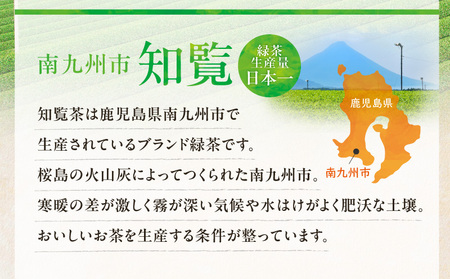 特上 知覧茶 ティーバッグ K345-001