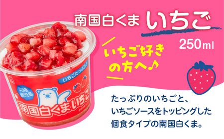 【 数量限定 】セイカ食品 南国 白くまDX ・ 南国白くまDX（ いちご味 ）詰め合わせ セット K051-002_01 冷凍
