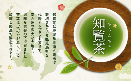 かごしま知覧茶 （ 100g × 10袋 ） K346-001_05