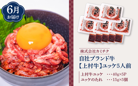 【 全3回 】 鳥刺し・刺身・ユッケ 定期便 K000-T2504 肉 牛肉 鶏肉 生肉 生食 魚 カンパチ 海鮮 魚介 小分け 新鮮 名物 グルメ 限定 定期 冷凍 冷蔵 セット バラエティ コラボ おかず おつまみ おいしい ふるさと納税 鹿児島 おすすめ ランキング プレゼント ギフト