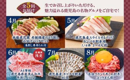 【 全5回 】 鳥刺し ・ 刺身・ ユッケ 定期便 K000-T2505 肉 牛肉 鶏肉 生肉 生食 牛刺し 魚 カンパチ きびなご 酢味噌 海鮮 魚介 小分け 新鮮 名物 グルメ 限定 定期 冷凍 冷蔵 セット バラエティ コラボ おかず おつまみ おいしい ふるさと納税 鹿児島 おすすめ ランキング プレゼント ギフト