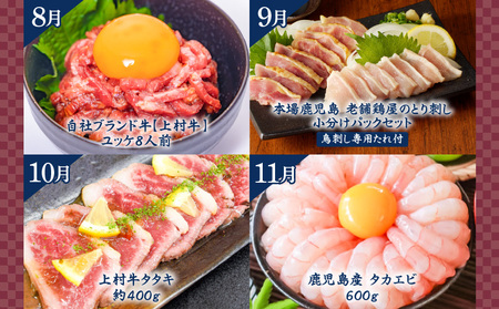 【 全8回 】 鳥刺し・刺身・ユッケ 定期便 K000-T2506 肉 牛肉 鶏肉 生肉 生食 牛刺し 魚 カンパチ きびなご 酢味噌 海鮮 魚介 小分け 新鮮 名物 グルメ 限定 定期 冷凍 冷蔵 セット バラエティ コラボ おかず おつまみ おいしい ふるさと納税 鹿児島 おすすめ ランキング プレゼント ギフト