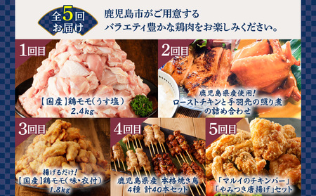 【 全5回 】 鶏肉 バラエティ 定期便 K000-T2508 肉 鶏モモ もも肉 うす塩 味付き 国産 ローストチキン 手羽先 照り煮 惣菜 チキンバー 唐揚げ 骨付き 骨なし 焼き鳥 焼鳥 やきとり 串 醤油 たれ 塩タレ ねぎま 調理済 小分け グルメ 限定 定期 冷凍 セット コラボ おかず おつまみ おいしい ふるさと納税 鹿児島 おすすめ ランキング プレゼント ギフト