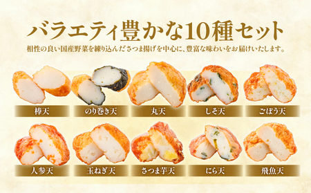 宝丸 さつま揚げ 10種 35個 K341-002_02 さつまあげ 詰合せ 本場 鹿児島 郷土料理 つけあげ 国産野菜 無リンすり身使用 練り物 温めるだけ おかず 惣菜 おつまみ 冷蔵 財宝 ふるさと納税 鹿児島市 おすすめ ランキング プレゼント ギフト