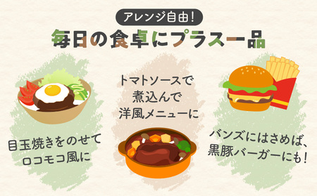 鹿児島県産 黒豚 生ハンバーグ 詰合せ K356-005 肉 豚肉 惣菜 総菜 冷凍