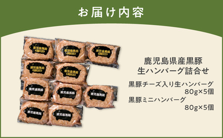 鹿児島県産 黒豚 生ハンバーグ 詰合せ K356-005 肉 豚肉 惣菜 総菜 冷凍