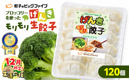 【 生活応援 ＋うんまか生餃子1P 付き 】 期間限定 げんきモリモリ 生餃子 120個 K027-010_02_cp 餃子 ギョーザ 肉 豚肉 国産 惣菜 総菜 野菜 中華 鍋 TV紹介 全国冷凍野菜アワード 金賞 受賞 加工品 ブロッコリー 冷凍 ビッグファイブ 鹿児島 おすすめ ランキング プレゼント ギフト