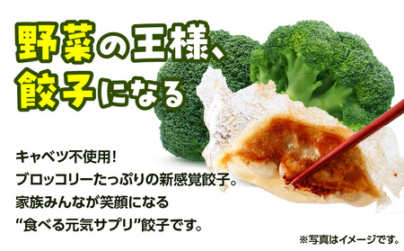 【 生活応援 ＋うんまか生餃子1P 付き 】 期間限定 げんきモリモリ 生餃子 120個 K027-010_02_cp 餃子 ギョーザ 肉 豚肉 国産 惣菜 総菜 野菜 中華 鍋 TV紹介 全国冷凍野菜アワード 金賞 受賞 加工品 ブロッコリー 冷凍 ビッグファイブ 鹿児島 おすすめ ランキング プレゼント ギフト