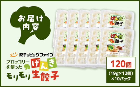 【 生活応援 ＋うんまか生餃子1P 付き 】 期間限定 げんきモリモリ 生餃子 120個 K027-010_02_cp 餃子 ギョーザ 肉 豚肉 国産 惣菜 総菜 野菜 中華 鍋 TV紹介 全国冷凍野菜アワード 金賞 受賞 加工品 ブロッコリー 冷凍 ビッグファイブ 鹿児島 おすすめ ランキング プレゼント ギフト