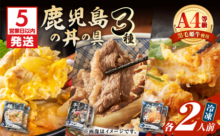 【 5営業日以内に発送 】鹿児島 の 丼 の 具 3種 セット（2人前） K258-006_02 肉 豚肉 牛肉 惣菜 総菜 冷凍 スピード配送 最短 すぐ届く お急ぎ
