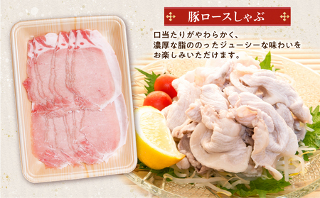 鹿児島県産ロースしゃぶ 3.5kg（250g×14P） K002-034_03 豚肉 ロース しゃぶしゃぶ