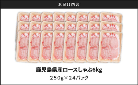 鹿児島県産ロースしゃぶ 6kg（250g×24P） K002-034_06 豚肉 ロース しゃぶしゃぶ