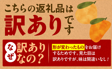 旬の朝採り! 鹿児島 桜島産びわ 2箱(訳あり品) K343-002_02 果物 フルーツ