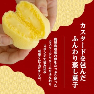 かすたどん 24個入 K167-002 菓子 スイーツ カスタード