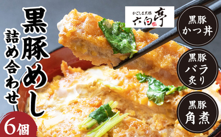 【 かごしま黒豚 六白亭 】 黒豚めし 詰合せ 6個 K163-004 肉 豚肉 惣菜 総菜 冷凍