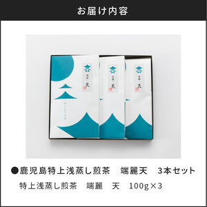 鹿児島 特上 浅蒸し 煎茶 端麗天 K112-003 お茶 鹿児島茶 茶葉 浅蒸し煎茶 日本茶 緑茶 焙煎 端麗 天 薩摩 さつま 鹿児島県 鹿児島市 お土産 特産品 贈り物 贈答 プレゼント ギフト 新原製茶