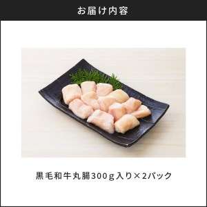 黒毛和牛 丸腸 （ ホルモン ）300g 入り × 2パック K130-001 人気黒毛和牛 大人気黒毛和牛 黒毛和牛丸腸 人気黒毛和牛丸腸 大人気黒毛和牛丸腸 人気丸腸 大人気丸腸 人気ホルモン 和牛 牛 牛肉 ホルモン焼肉 焼肉 バーベキュー BBQ 黒毛和牛丸腸セット ホルモンセット セット 黒毛和牛丸腸詰め合せ 詰め合せ 贈り物 ギフト おすすめ 人気 大人気