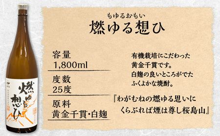 相良酒造】鹿児島 限定 一升瓶 セット K004-008 芋焼酎 いも焼酎 焼酎