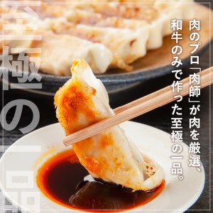 黒毛和牛100%牛餃子12個入り × 6Pセット　K098-006 薩摩 さつま 大人気餃子 人気餃子 鹿児島産餃子 鹿児島県産餃子 餃子三昧 餃子セット 大人気黒毛和牛 人気黒毛和牛 鹿児島産黒毛和牛 和牛 牛餃子 黒毛和牛100% 大人気ぎょうざ 人気ぎょうざ 鹿児島産ぎょうざ 鹿児島県産ぎょうざ 大人気ギョーザ 人気ギョーザ 鹿児島産ギョーザ 鹿児島県産ギョーザ