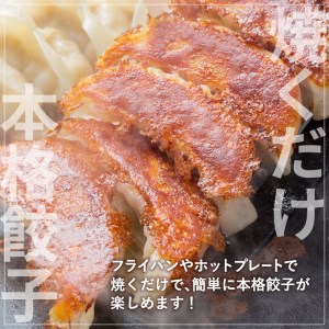 黒毛和牛100%牛餃子12個入り × 6Pセット　K098-006 薩摩 さつま 大人気餃子 人気餃子 鹿児島産餃子 鹿児島県産餃子 餃子三昧 餃子セット 大人気黒毛和牛 人気黒毛和牛 鹿児島産黒毛和牛 和牛 牛餃子 黒毛和牛100% 大人気ぎょうざ 人気ぎょうざ 鹿児島産ぎょうざ 鹿児島県産ぎょうざ 大人気ギョーザ 人気ギョーザ 鹿児島産ギョーザ 鹿児島県産ギョーザ