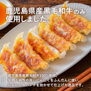 黒毛和牛100%牛餃子12個入り × 6Pセット　K098-006 薩摩 さつま 大人気餃子 人気餃子 鹿児島産餃子 鹿児島県産餃子 餃子三昧 餃子セット 大人気黒毛和牛 人気黒毛和牛 鹿児島産黒毛和牛 和牛 牛餃子 黒毛和牛100% 大人気ぎょうざ 人気ぎょうざ 鹿児島産ぎょうざ 鹿児島県産ぎょうざ 大人気ギョーザ 人気ギョーザ 鹿児島産ギョーザ 鹿児島県産ギョーザ